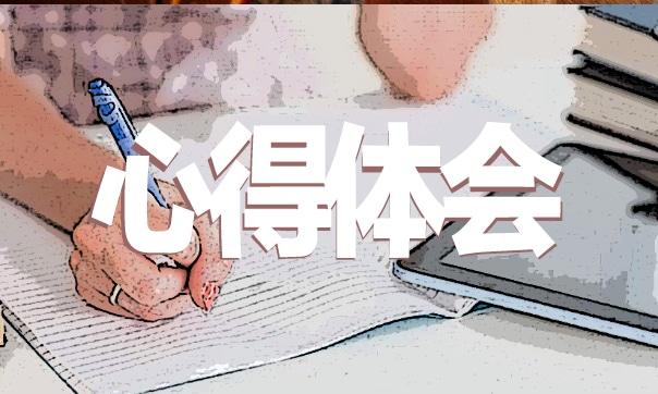 關于會計實習心得感悟(7篇通用)