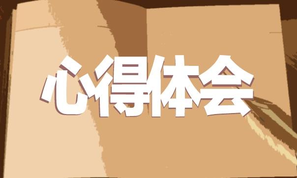 會計員實習期間個人心得體會5篇