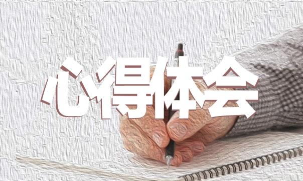 企業單位會計實習生心得體會范文最新 會計企業實訓心得體會