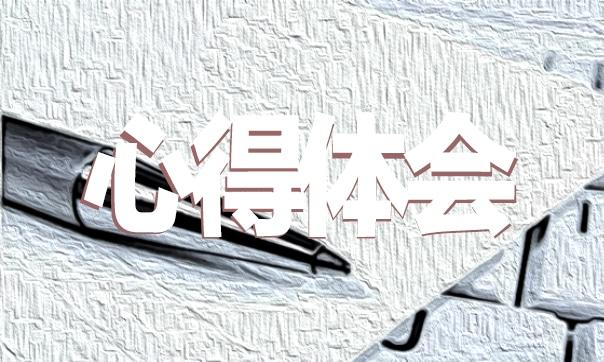 財務會計實習心得范文 財務會計實訓報告心得體會500字