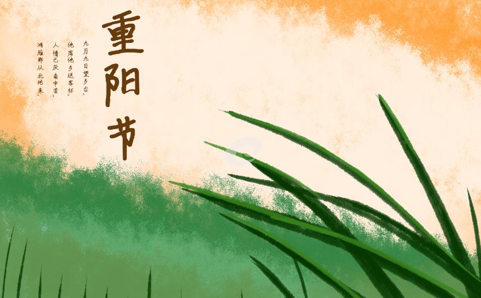 關(guān)于重陽(yáng)敬老演講稿(精品10篇) 關(guān)于重陽(yáng)敬老的演講稿