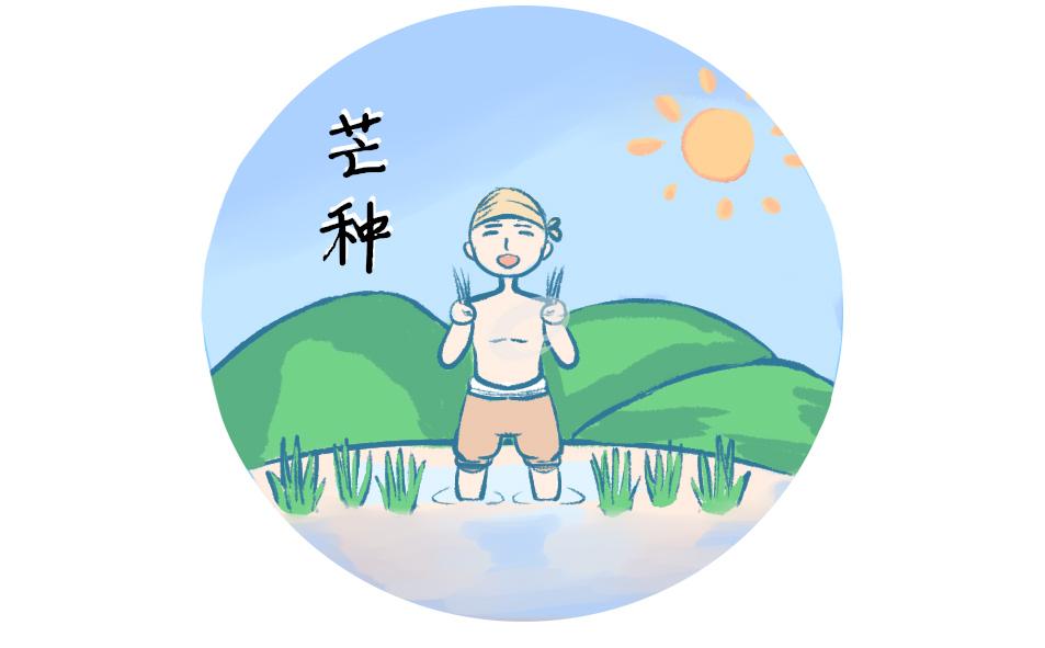 芒種節氣的由來和特征