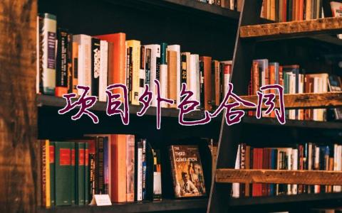 項目外包合同