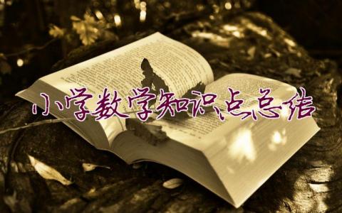 小學數學知識點總結