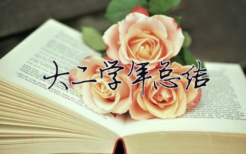 大二學(xué)年總結(jié) 19篇