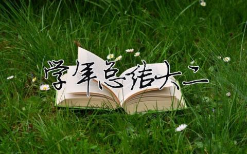 學(xué)年總結(jié)大二16
