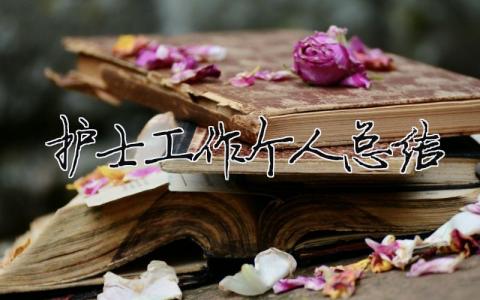 護士工作個人總結(jié) 30篇
