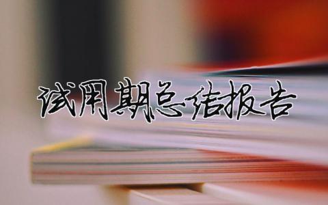 試用期總結報告 12篇