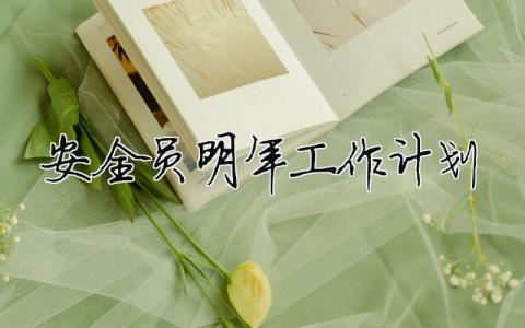 安全員明年工作計劃怎么寫范文大全22篇