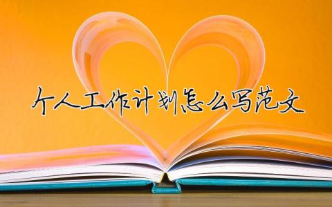 個人工作計劃怎么寫范文 15篇