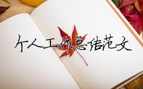 個人工作總結范文優選（30篇）