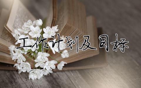 工作計劃及目標怎么寫模板 20篇
