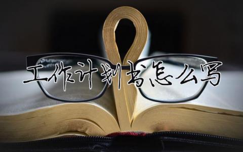 工作計劃書怎么寫？工作計劃書簡短范文模板 13篇