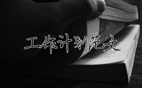 工作計劃書怎么寫范文大全30篇