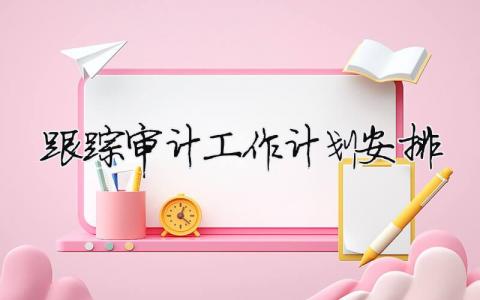 跟蹤審計工作計劃安排 12篇
