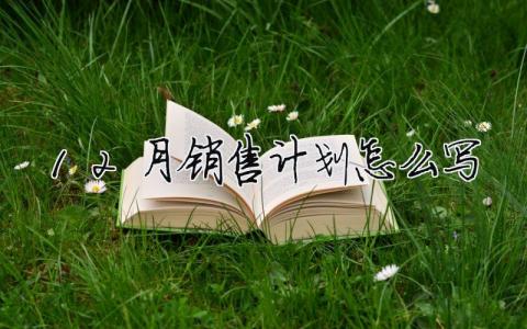 12月銷售計劃怎么寫？12月銷售計劃怎么寫范文模板大全7篇