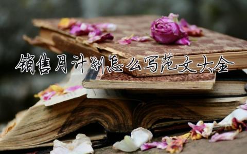 銷售月計劃怎么寫范文大全20篇