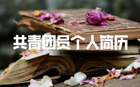 共青團員個人簡歷模板怎么寫？