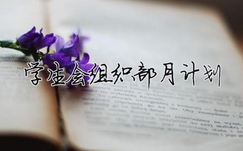 學生會組織部月計劃 精選17篇