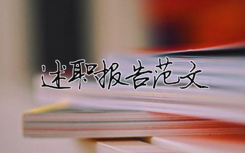 述職報告范文 精選15篇