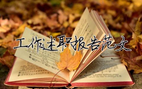 工作述職報(bào)告范文 精選15篇