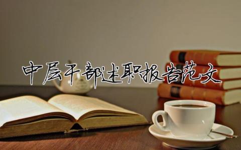中層干部述職報告范文 精選17篇