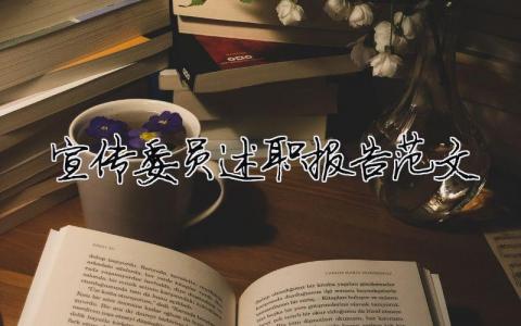 宣傳委員述職報告范文 精選13篇