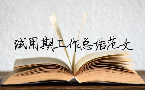 試用期工作總結范文（精選合集17篇）