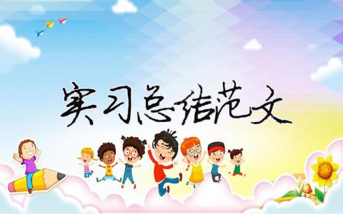 實(shí)習(xí)總結(jié)范文（精選合集16篇）