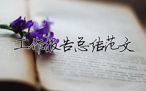 工作報告總結范文（精選合集21篇）