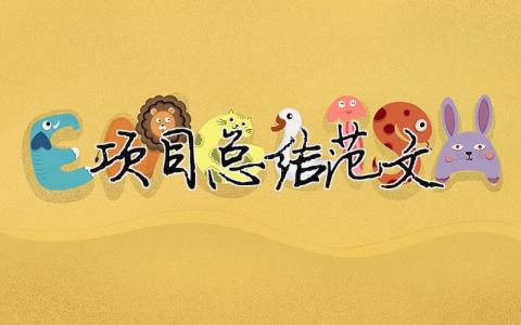 項(xiàng)目總結(jié)范文（精選合集17篇）
