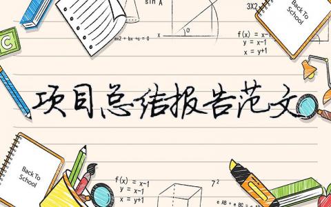 項(xiàng)目總結(jié)報(bào)告范文（精選合集11篇）