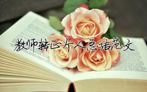 教師轉正個人總結范文（精選合集8篇）