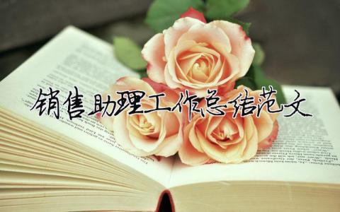 銷售助理工作總結范文（精選合集10篇）