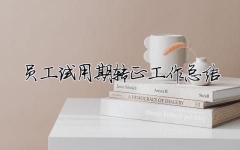 員工試用期轉正工作總結（精選合集20篇）