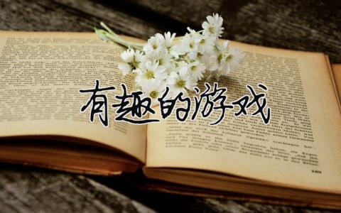 有趣的游戲（精選合集11篇）