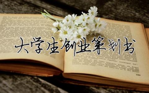 大學(xué)生創(chuàng)業(yè)策劃書（精選合集18篇）
