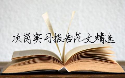 頂崗實習報告范文精選（精選合集12篇）