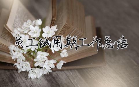 員工試用期工作總結(jié)（精選合集15篇）