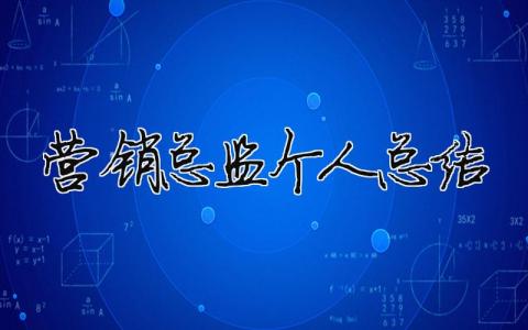 營銷總監個人總結（精選合集10篇）