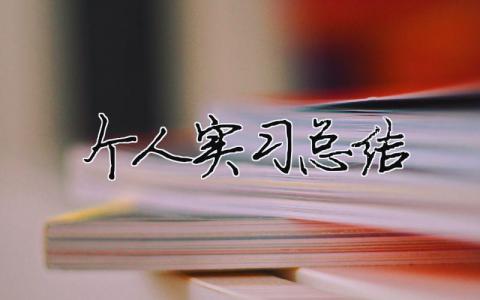 個人實習總結（精選合集18篇）