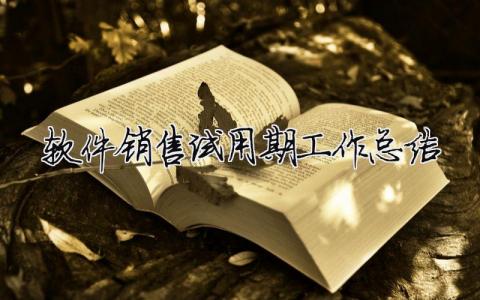 軟件銷售試用期工作總結 軟件開發試用期總結（精選合集5篇）