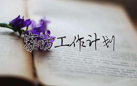 家訪工作計劃 家訪工作計劃大班（精選合集12篇）