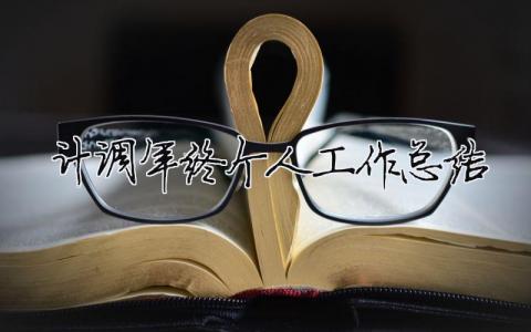 計調年終個人工作總結 計調工作崗位（精選合集6篇）