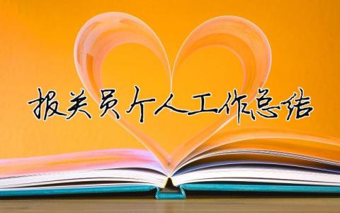 報關員個人工作總結 報關員總結報告（精選合集11篇）