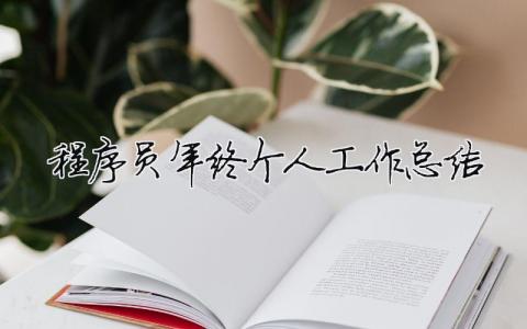 程序員年終個(gè)人工作總結(jié) 程序員年終個(gè)人工作總結(jié)怎么寫（精選合集11篇）