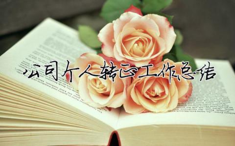 公司個人轉正工作總結 公司個人轉正工作總結（精選合集15篇）