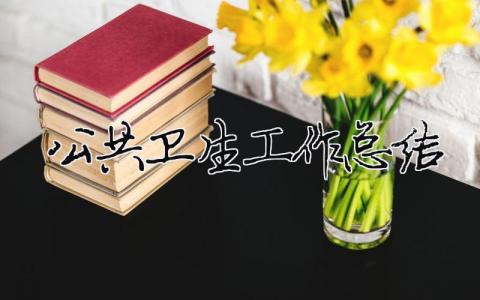 公共衛(wèi)生工作總結(jié) 公共衛(wèi)生工作總結(jié)及下一步工作安排（精選合集10篇）