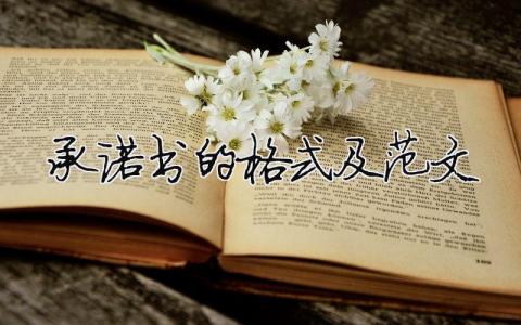承諾書(shū)的格式及范文 承諾書(shū)格式怎么寫有效（精選合集7篇）