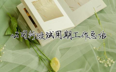 公司行政試用期工作總結 公司行政試用期工作總結怎么寫（精選合集6篇）